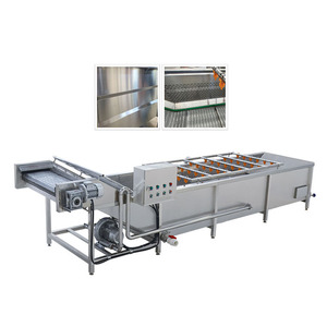 Máquina de Limpieza de Burbujas con Ozono Automática y de Motor para Plantas de Procesamiento de Frutas y Verduras, Nueva Condición - Product Image 5