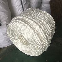 Usine 32mm 16mm 28mm corde polypropylène corde marine Jet Ski corde de remorquage corde d'amarrage accessoires nautiques corde en Nylon Polyester