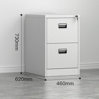 Archivador Moderno de Acero con 2 Cajones, Cerradura, Resistente, Gran Capacidad de Carga, Almacenamiento Comercial para Oficinas, Hoteles y Hospitales, Estilo Panel de Madera