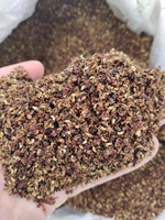 Presse à chaud et à froid commerciale en acier inoxydable d'huile de ricin de tournesol faisant la machine à vendre