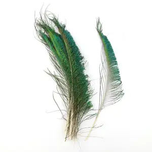 10件/批高品质天然染色孔雀羽毛剑30-40厘米Diy羽毛，用于工艺品装饰花卉花瓶庆典