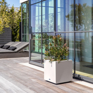 Pot de fleurs d'extérieur moderne pour terrasses et balcons de restaurants haut de gamme, pot de fleurs pour porte d'entrée, jardinière carrée - Product Image 4