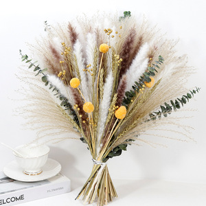 2025 AYOYO Prix raisonnable Mélange <span class=keywords><strong>de</strong></span> plumes moelleuses <span class=keywords><strong>Bouquet</strong></span> <span class=keywords><strong>de</strong></span> <span class=keywords><strong>fleurs</strong></span> séchées sauvages <span class=keywords><strong>Fleurs</strong></span> séchées - Product Image 1