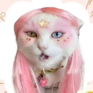 Nouvelle perruque pour animaux de compagnie rose longue et droite universelle, solide, pour chats et chiens, peut être attachée, à porter en été et en hiver, moins de miaulement, costume de perruque pour chat - Product Image 4