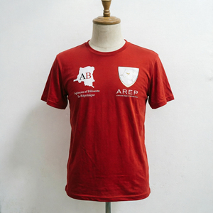 T-shirt de campagne politique personnalisé en polyester 100 %, logo <span class=keywords><strong>AREP</strong></span> AB, RDC Congo, séchage rapide, respirant, pour élection/rassemblement politique - Product Image 2
