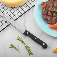 Ensemble de couteaux à steak en acier inoxydable pour restaurant outil de cuisine avec manche en plastique POM