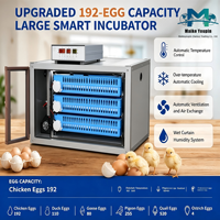 Incubateur entièrement automatique de 192 œufs, double alimentation (AC220V/DC12V), système de retournement à 360°, température automatique, OEM