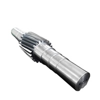 Hot Sale OEM Steel Gear Crank Shaft with High Precision Performance