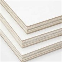 4 mm d'épaisseur 1250*2500 Taille Noyau complet de bouleau B/b B/bb Grades Colle environnementale de placage pour l'utilisation de jouets de découpe laser
