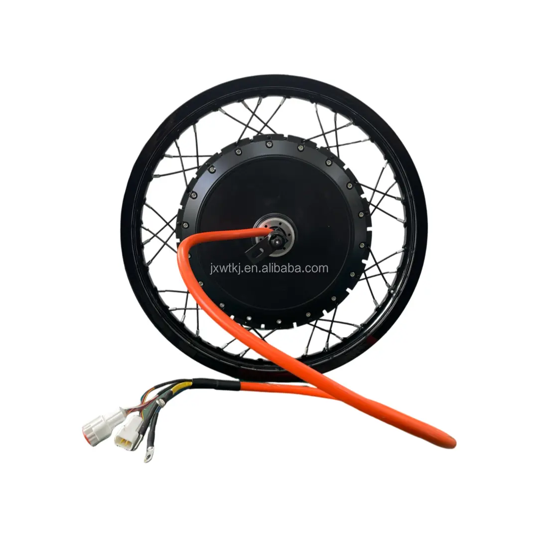 QS 273 40H V3 8000W Hub Motor sepeda elektrik, dengan pelek kumbang 19 inci