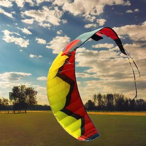 Aquilone da Trazione Parafoil a Quattro Cavi per Principianti, Aquilone Acrobatico da Esterno con Linee di Volo e <span class=keywords><strong>Barra</strong></span> di Controllo per Adulti - Product Image 2