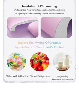 IceMaster 6 12 21QT logotipo personalizado Camping Picnic uso cálido aislamiento frío PP aislado impermeable Fieldbar pequeñas cajas de refrigeración - Product Image 4