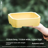 Pot Bunga Resin Gaya Cina Kreatif Bentuk Persegi untuk Anggrek, Sukulen & Kaktus dengan Desain Pengatur Akar