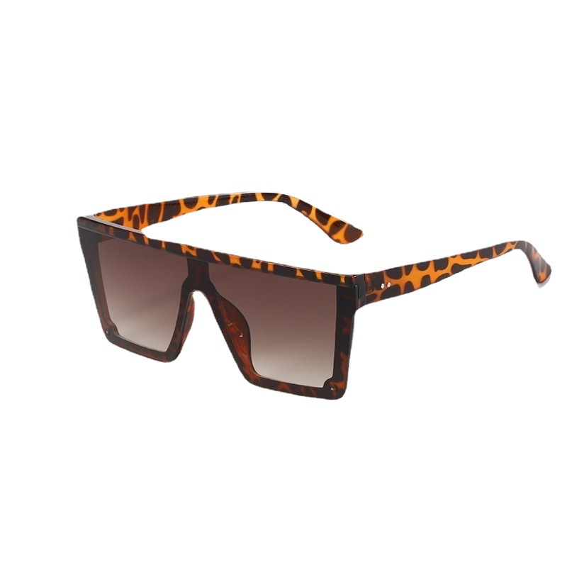 Tortue Hawksbill brune