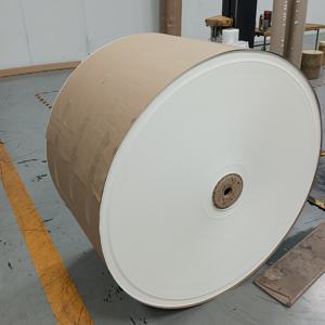 Papier en rouleau de qualité alimentaire 150-350 g/m², enduit de PE, pour gobelets en papier - Product Image 2