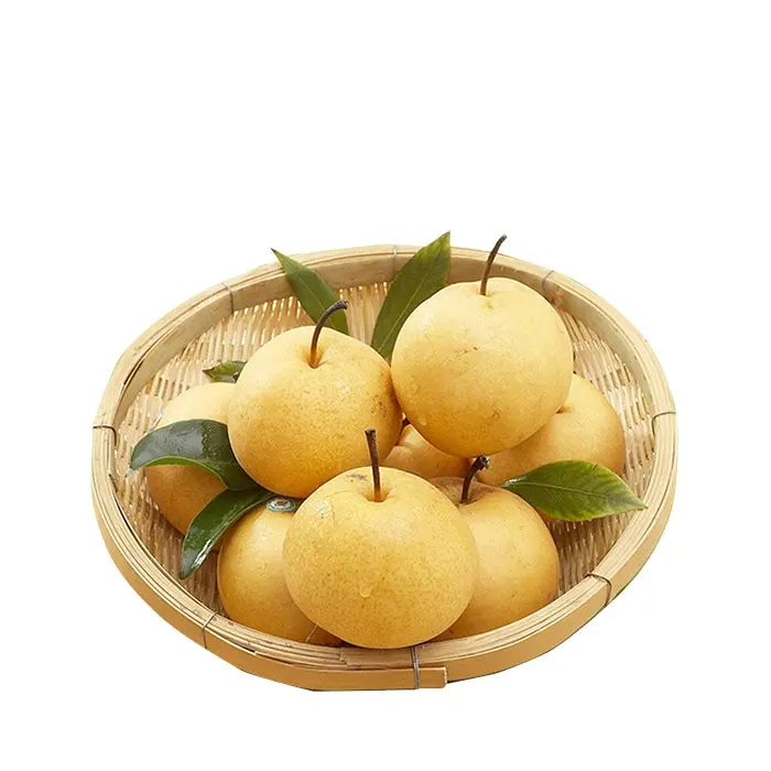 hot selling China fresh pear with good quality for export fresh pear