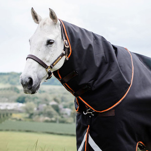 High Quality <strong>Horse</strong> Riding Products 1680D Turnout Rugs 200G <strong>Horse</strong> Rugs Winter Warm Equine Blanket Custom <strong>Horse</strong> Sheets Waterproof - Product Image 2