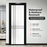 Ensemble de portes pour salle de bain, toilettes et cuisine : Portes minimalistes en verre trempé double vitrage en alliage titane-magnésium
