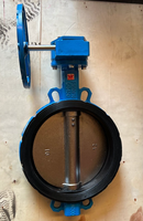 Katup Kupu-kupu Karbon DN150/300
