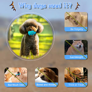 Hızlı teslimat büyük boy domuz gıcırtılı köpek oyuncak dayanıklı lateks nokta küçük orta büyük köpekler için Oink <span class=keywords><strong>Grunting</strong></span> domuz oyuncaklar - Product Image 2