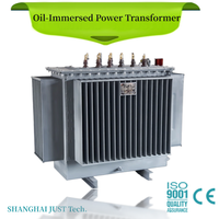 Transformador de potencia trifásico ONAN de 315 kVA, 11/0.4 kV, tipo aceite, bobinado de cobre, estándar IEC.