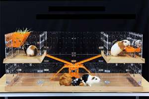 Fabrika toptan özel boyut gine domuz tavşan bıldırcın kirpi akrilik kafes Habitat için uygun - Product Image 2