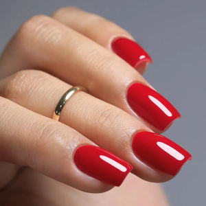 Set de Esmalte de Uñas en Gel Neissry, Caja de Esmalte en Gel, Color Base, Esmalte de Uñas en Gel Brillante Reflectante para Salón Profesional, Venta al por Mayor - Product Image 6