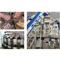 Intelligente automatische machine voor het vullen van gemengde noten en gedroogd fruit, met hoge precisie thermoforming en verzegeling voor zakjes (CE-gecertificeerd)