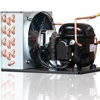 Unités de condensation de réfrigération 1/2HP- 2HP R404a 110V 60Hz pour la machine froide de refroidisseur de bière