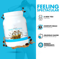 Supplément de sport de forme physique quotidienne Poudre de protéine de lactosérum complète Poudre de protéine de lactosérum isolée Saveur de crème glacée au chocolat