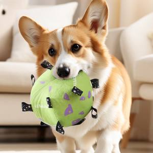 Nuevo juguete para perros, pelota de fútbol interactiva con campana incorporada, juguete para cachorros, pelota con campana, juguetes para mascotas - Product Image 2