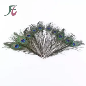 优质人造天然孔雀羽毛，用于大型孔雀羽毛婚礼装饰