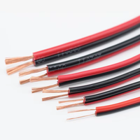 Câble électrique RVB à 2 fils, 1m, 0.3/0.5/0.75/1/1.5/2, 5 mm2, ligne de véhicule électrique, câble plat pour voiture, rouge/noir