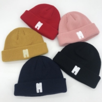 Unisex beanie met aangepast 3D geborduurd fruit/figuurontwerp - Veel kleuren, modieus, voor buiten, houdt warm