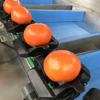 Heetverkopende, hoog-efficiënte industriële automatische sorteermachine voor fruit