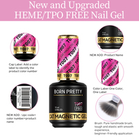 BORN PRETTY PRO 42 Couleurs Vernis Gel Effet Œil de Chat Sans HEMA avec Fiche de Données de Sécurité (MSDS) Fournisseur Professionnel de Produits pour Ongles Vernis Gel UV LED Soak Off