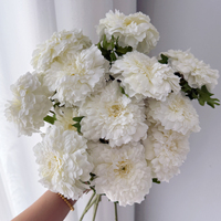 Gerbera artificielle en soie blanche, branche courte, réaliste, faite à la main, pour mariage, Saint-Valentin, Pâques