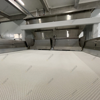 Custom 60Cm Enkellaags Efficiënt Gedroogd Fruit Kleur Sorteerder Machine Vorm Sorteerder Voor Gedroogde Aardbeien