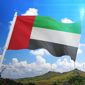 Produit promotionnel Offre Spéciale drapeau personnalisé des émirats arabes unis drapeaux 3x5 pieds 100% Polyester