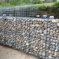 Fournisseur d'usine : Gabion soudé galvanisé à chaud 50 x 100 mm pour l'aménagement paysager et la décoration de jardin