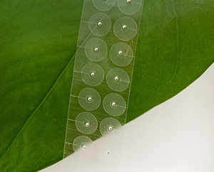 AmywellMED Ear Seeds <span class=keywords><strong>Acupuncture</strong></span> 24k Gold Auricular Point Sticker Ear <span class=keywords><strong>Acupuncture</strong></span> Point Therapy Earseeds - Product Image 4