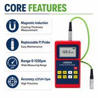 Jauge d'épaisseur de revêtement à induction magnétique avec sonde remplaçable 0-1250µm Testeur de peinture pour acier