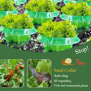 Collier d'escargot Salade <span class=keywords><strong>Protection</strong></span> des plantes et des choux Jardin Collier d'escargot protège les plantes de la consommation d'animaux <span class=keywords><strong>Protection</strong></span> des plantes - Product Image 6