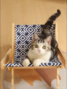 Modern Adjustable Cat Bed Chair with Sisal Scratching Board Wood Nest for Pet Grinding Paws Four Seasons Cat <strong>Scratcher</strong> Toys - Product Image 6