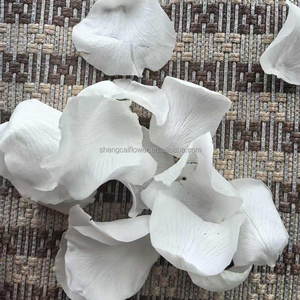 Decorazioni Floreali per Matrimoni, Coriandoli di Petali di Rosa, Petali di Rosa Essiccati Biodegradabili per Cerimonie Nuziali, Decorazioni per Feste all'Aperto - Product Image 6