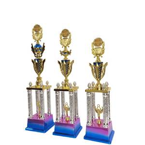 Trophées en plastique personnalisés économiques en gros pour les champions de boxe, d'arts martiaux et de sports - Product Image 2