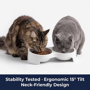 Comedero Doble Integrado Minimalista para Gatos, Diseño con Orejas de Gato, Estación de Comida y Agua para Mascotas, Precio de Fábrica, Venta al Por Mayor - Product Image 5