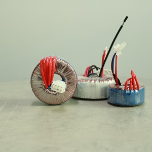 Transformateur toroïdal de haute qualité monophasé 50W-5000W entrée 240V sortie 112v pour amplificateur Audio - Product Image 2