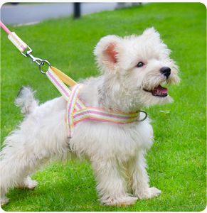 Arnés ajustable para perro, Sillín para el pecho, bonito y colorido, transpirable, de nailon, a rayas, con encaje, conjunto de arnés y correa para mascotas, <span class=keywords><strong>Collar</strong></span> antiescape para perro - Product Image 2