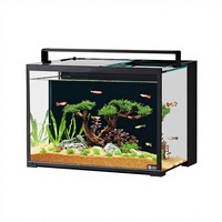 Aquarium de bureau rectangulaire de luxe en verre ultra-transparent avec filtre arrière intégré et auto-circulant pour poissons rouges et tortues